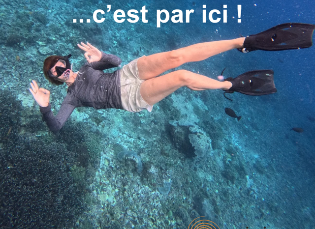 Pour un hiver serein, c’est par ici ! Pour un hiver serein, c’est par ici !